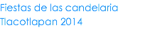 Fiestas de las candelaria Tlacotlapan 2014 
