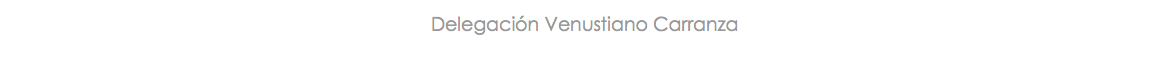 Delegación Venustiano Carranza