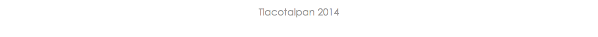 Tlacotalpan 2014